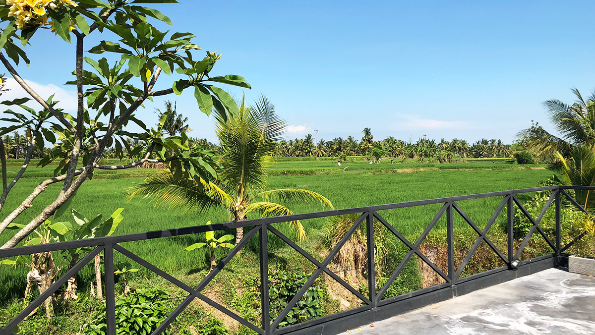 Tegalalang Rice Field