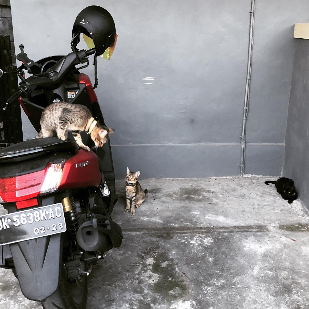 Rent Motorbike / Scooter